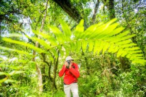 Parque Nacional Baritú