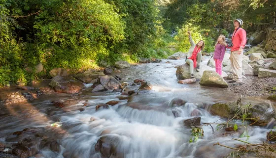 Familia al borde de un río de montaña observando la naturaleza