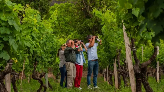 Grupo de jóvenes observando aves