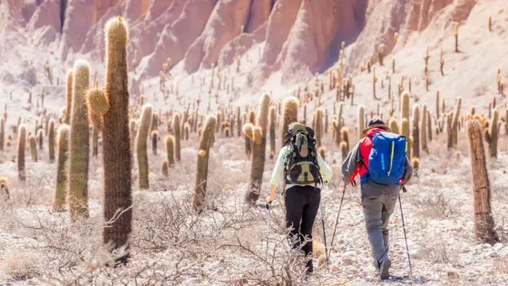 Trekking en el Parque Nacional Los Cardones