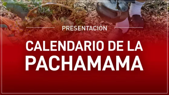 Afiche Promocional